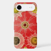 Vintage  Veranderde Haeckel