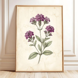 Vintage Verbena Botanische Boerderij Decoratie