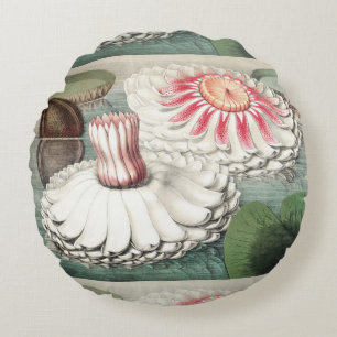 Vintage Victoria Regia Waterlelie Kunstprint Rond Kussen