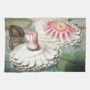 Vintage Victoria Regia Waterlelie Kunstprint Theedoek