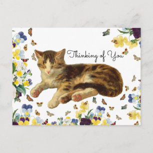 Vintage Victoriaanse Kat Slapende Bloemendekenning Briefkaart