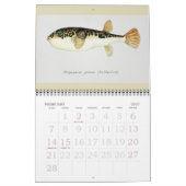 Vintage Vissen Kunst Elk Jaar Kalender (Feb 2027)