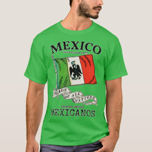 Vintage vlag van Mexico T-shirt