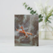 Vintage Vliegtuig Briefkaart (Staand voorkant)