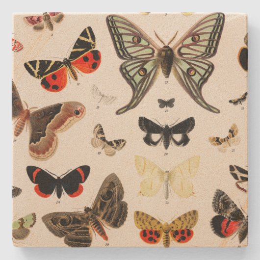 Vintage Vlinder Botanische Onderzetter (Voorkant)