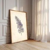 Vintage Vlinder Botanische Print Poster