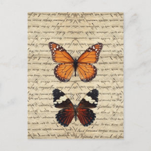 Vintage vlinder collectie briefkaart