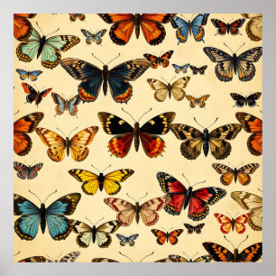 Vintage Vlinder Collectie Patroon Poster
