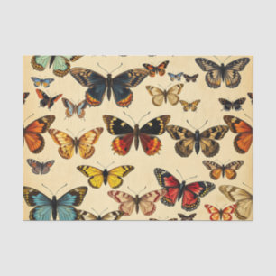 Vintage Vlinder Collectie Patroon Tissuepapier