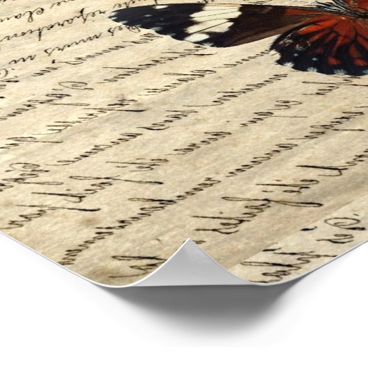 Vintage vlinder collectie poster (Hoek)