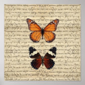 Vintage vlinder collectie poster (Voorkant)