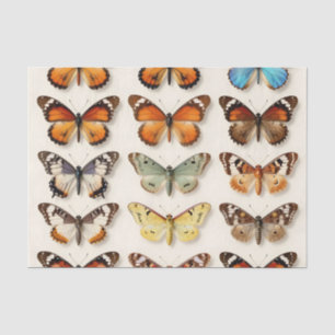 Vintage Vlinder Collectie Raster Weergave Tissuepapier