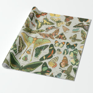 Vintage Vlinder Motief Print Cadeaupapier