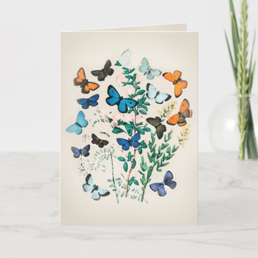 Vintage Vlinder Waterverf  Kaart (Voorkant)