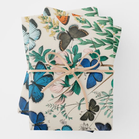 Vintage vlinderdeeg vlinderpapier inpakpapier vel (In situ)