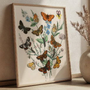 Vintage Vlinderillustraties Botanische Kunst Poster