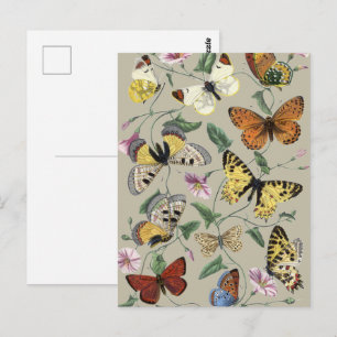 Vintage vlindermot botanische bloemkunst 1842 briefkaart
