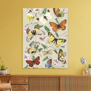 Vintage vlindermot botanische bloemkunst 1842 canvas afdruk
