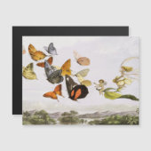 Vintage Vlinders & Fee Oude Illustratie Kunst (Voorkant / Achterkant)