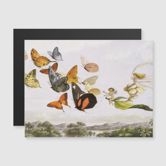 Vintage Vlinders & Fee Oude Illustratie Kunst (Voorkant / Achterkant)