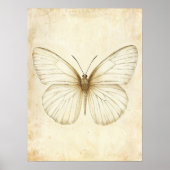 Vintage Vlinderschets: Elegante Natuurkunst Poster (Voorkant)