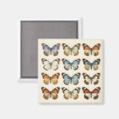 Vintage Vlinderspecimen Collectie Magneet (Voorkant / Achterkant)
