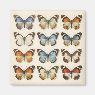 Vintage Vlinderspecimen Collectie Magneet