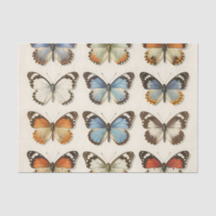 Vintage Vlinderspecimen Collectie Tissuepapier