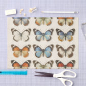 Vintage Vlinderspecimen Collectie Tissuepapier (Craft)