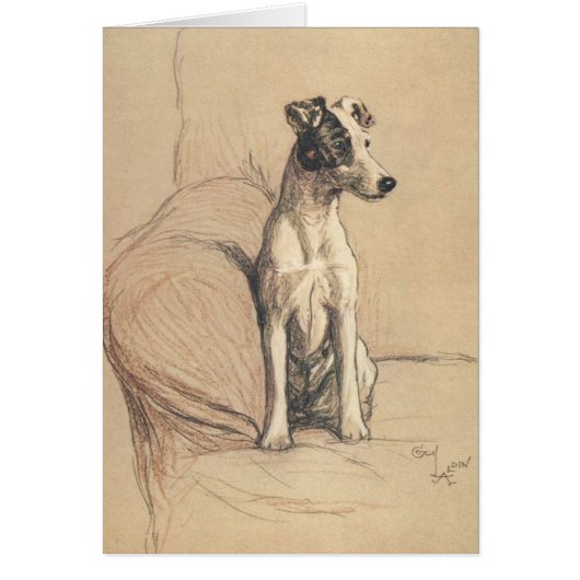 Vintage - Vloeiende fox terrier, (Voorkant)