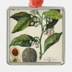 Vintage Voedingskruiden, specerijen, Planten Metalen Ornament