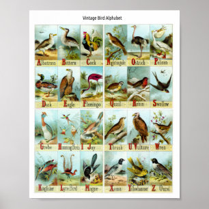 Vintage Vogel Alfabet Poster
