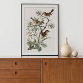 Vintage Vogel Botanisch Poster