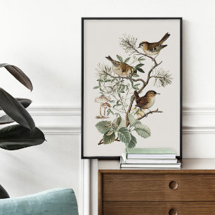 Vintage Vogel Botanisch Poster