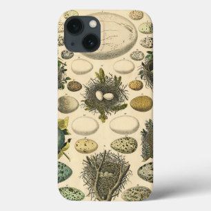 Vintage Vogel Ei Nest Kunst Schilderij Natuurlijke Case-Mate iPhone Case