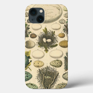 Vintage Vogel Ei Nest Kunst Schilderij Natuurlijke iPhone 13 Hoesje