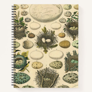 Vintage Vogel Ei Nest Kunst Schilderij Natuurlijke Notitieboek