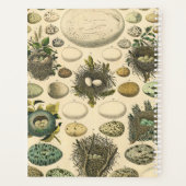Vintage Vogel Ei Nest Kunst Schilderij Natuurlijke Planner (Achterkant)