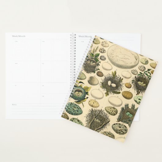 Vintage Vogel Ei Nest Kunst Schilderij Natuurlijke Planner (Display)