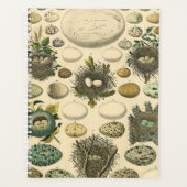 Vintage Vogel Ei Nest Kunst Schilderij Natuurlijke Planner (Voorkant)