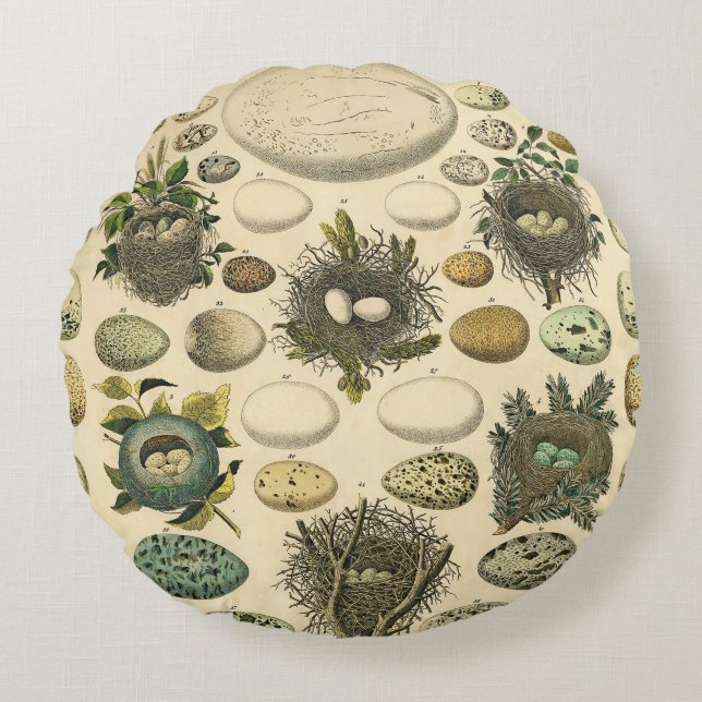 Vintage Vogel Ei Nest Kunst Schilderij Natuurlijke Rond Kussen (Voorkant)
