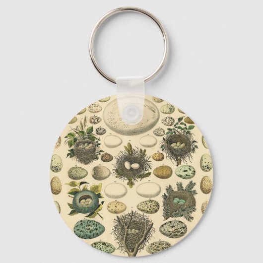 Vintage Vogel Ei Nest Kunst Schilderij Natuurlijke Sleutelhanger (Voorkant)