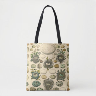 Vintage Vogel Ei Nest Kunst Schilderij Natuurlijke Tote Bag