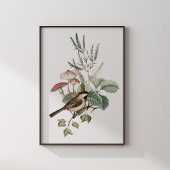 Vintage Vogel en Paddenstoel Botanisch Poster