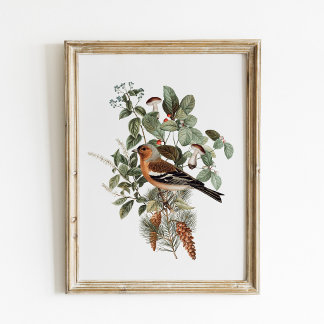 Vintage Vogel en Paddenstoel Botanisch Poster