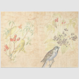 Vintage Vogel Serie Design 2 Tissuepapier