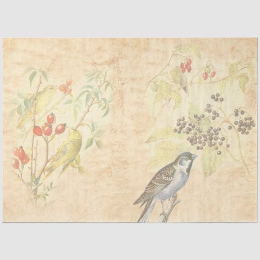 Vintage Vogel Serie Design 2 Tissuepapier (Voorkant)