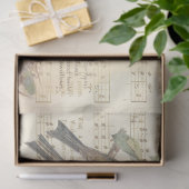 Vintage Vogel Serie Design 3 Tissuepapier (Geschenk)