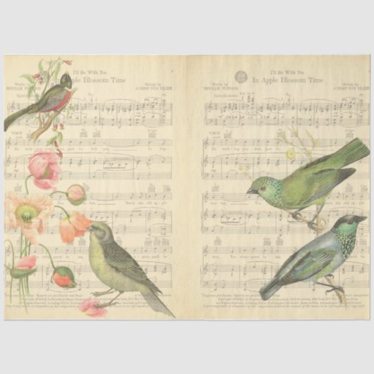 Vintage Vogel Serie Design 5 Tissuepapier (Voorkant)