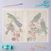 Vintage Vogel Serie Design 6 Tissuepapier (Craft)